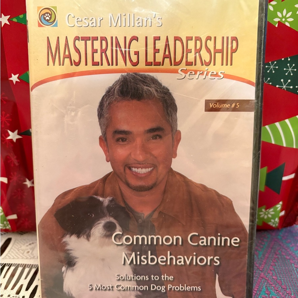 Mastering Leadership Series DVD